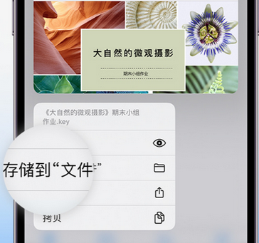 侯马apple维修中心分享iPhone文件应用中存储和找到下载文件