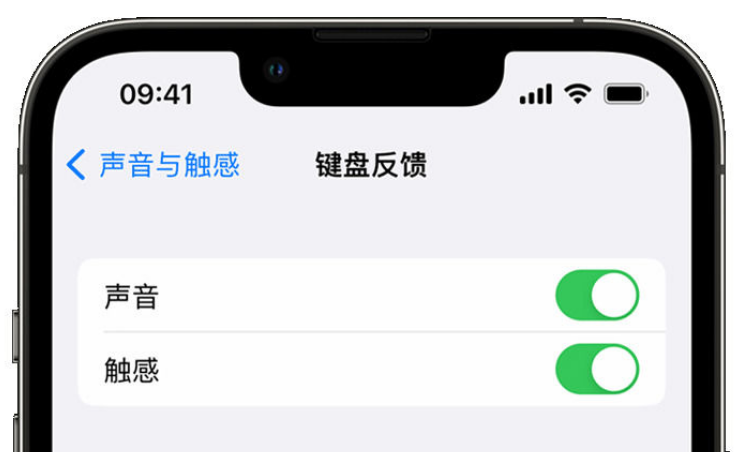 侯马苹果手机维修分享iPhone 14触感键盘使用方法 