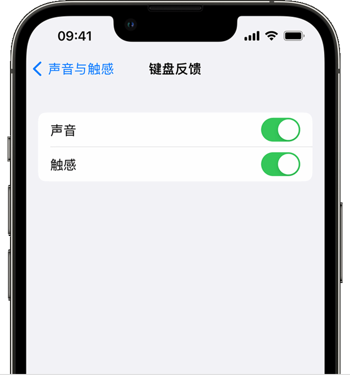 侯马苹果14维修店分享如何在 iPhone 14 机型中使用触感键盘 