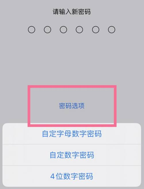 侯马苹果14维修分享iPhone 14plus设置密码的方法 