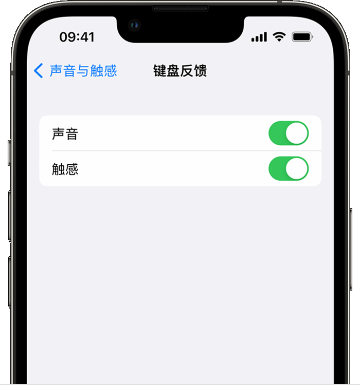 侯马苹果14维修分享iPhone 14 系列机型如何开启键盘声音或触感反馈 