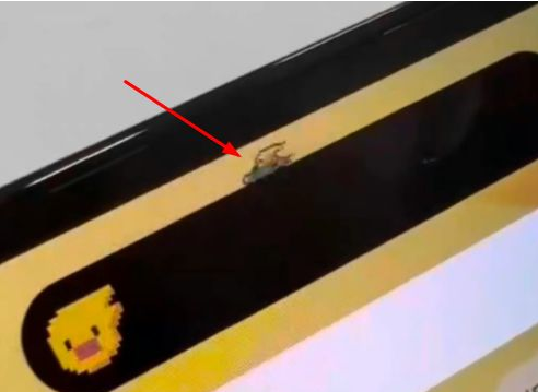 侯马苹果14维修分享iPhone 14 Pro Max灵动岛怎么养宠物 