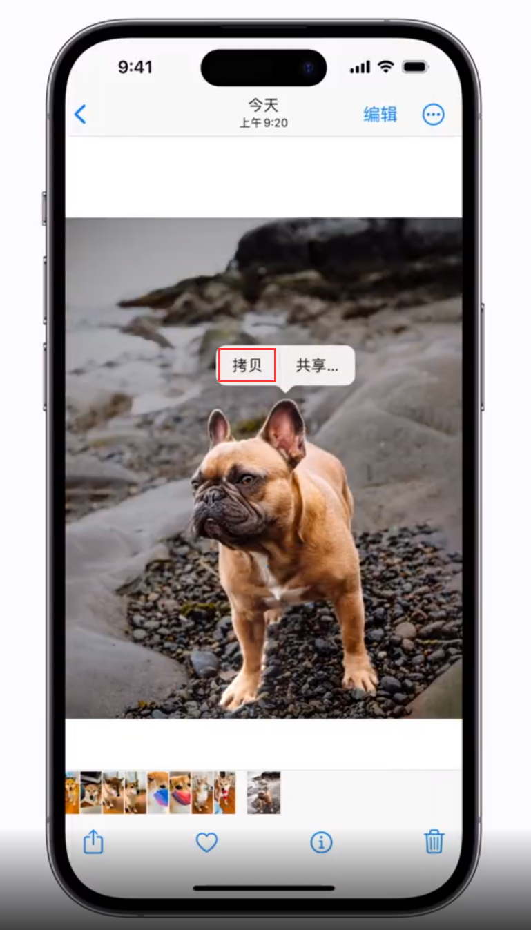 侯马苹果手机维修分享 iOS 16 自带一键抠图功能 