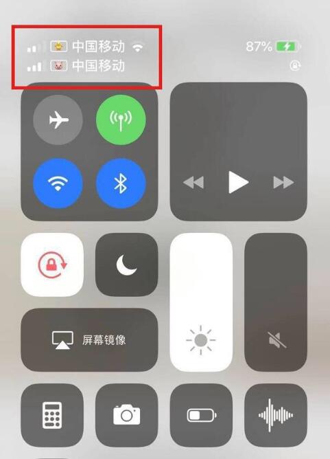 侯马苹果手机维修分享为 iPhone 12 双卡设置标签 